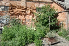 IMG_20190702_101311