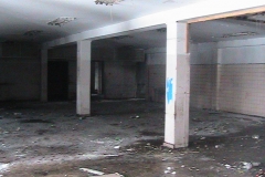 П.Запорожця (6)