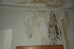 изображение_viber_2019-12-26_15-59-43